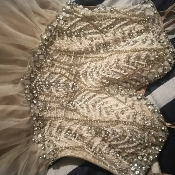 Prom/Pageant Gown - Picture 2 of 5